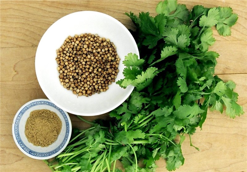 عطر،عطرسازی،تخم گشنیز،تخم گشنیز در عطرسازی،صنعت عطرسازی،مقاله علمی درباره تخم گشنیز در صنعت عطرسازی