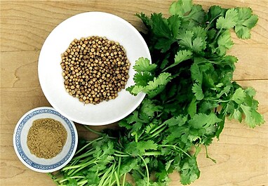 تخم گشنیز معجزه ای در عطرسازی